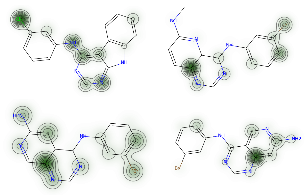 Four EGFR inhibitor structures with attention weights rendered as green contour density over the atoms, concentrated on heterocyclic nitrogens and halobenzyl substituents